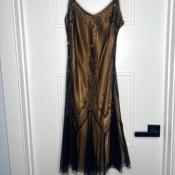 1920's Flapper Dress - Picture 1 of 3